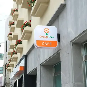 https://orange-tree-hotel-cafe.jejukoreahotels.com